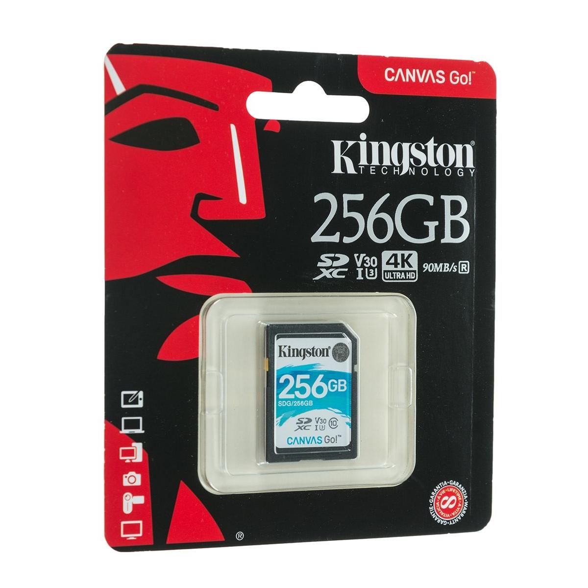 Карта памяти Kingston 256. Артикул Kingston 39. Kingston Canvas go Plus 128 ГБ. Артикул Kingston 18.