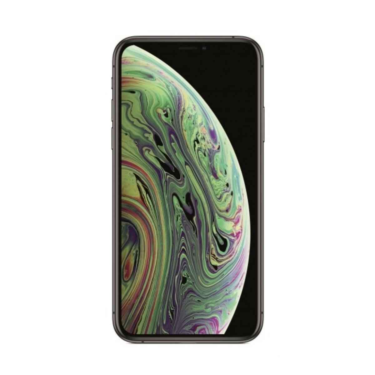 Купить Смартфон Apple iPhone XS 256Gb 